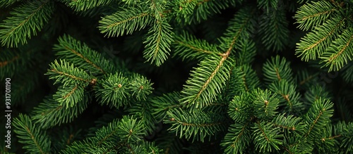 Natural texture pattern of ...
