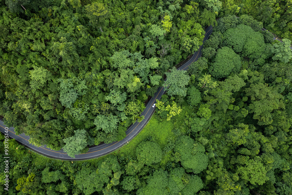 Aerial view of a road in the middle of the green forest and road curve construction up to mountain in southeast asia.. Aerial view of a road in the middle of the green forest and road curve construction up to mountain in southeast asia..