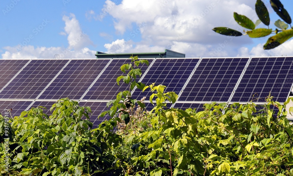 Fototapeta premium solar power ecology energy panels