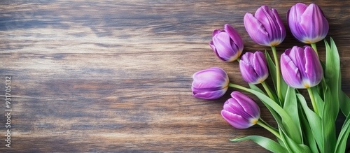 Spring Flowers holiday Back...