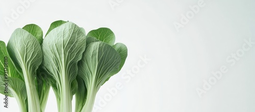 Baby pak choi against a whi...