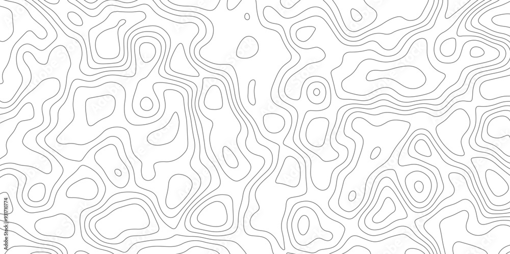 White topography map contour texture vector form abstract wallpaper
White topography map contour texture vector form abstract wallpaper