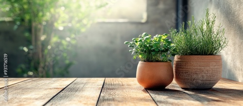 Gardening idea vegetable pl...