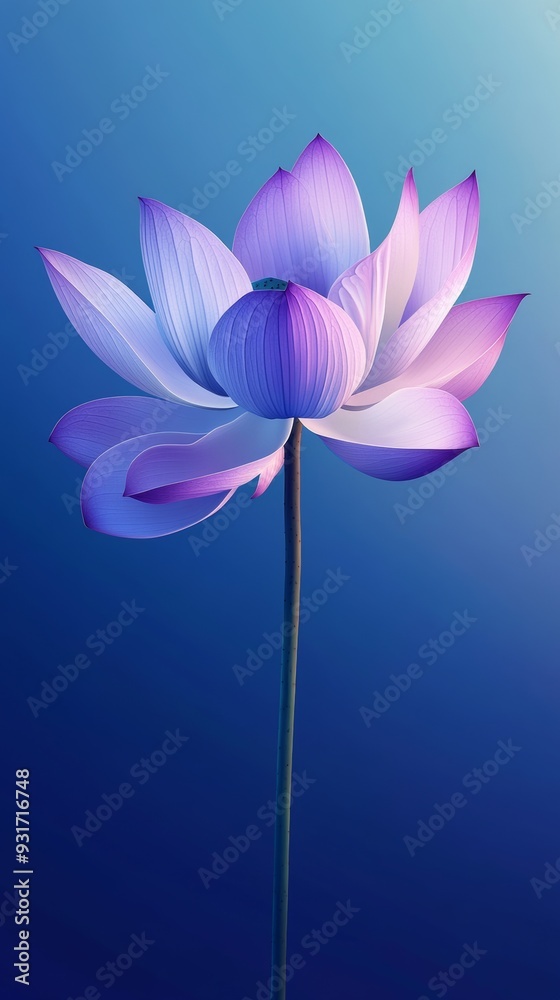 Purple and white lotus flower with gradient Purple and white lotus flower with gradient