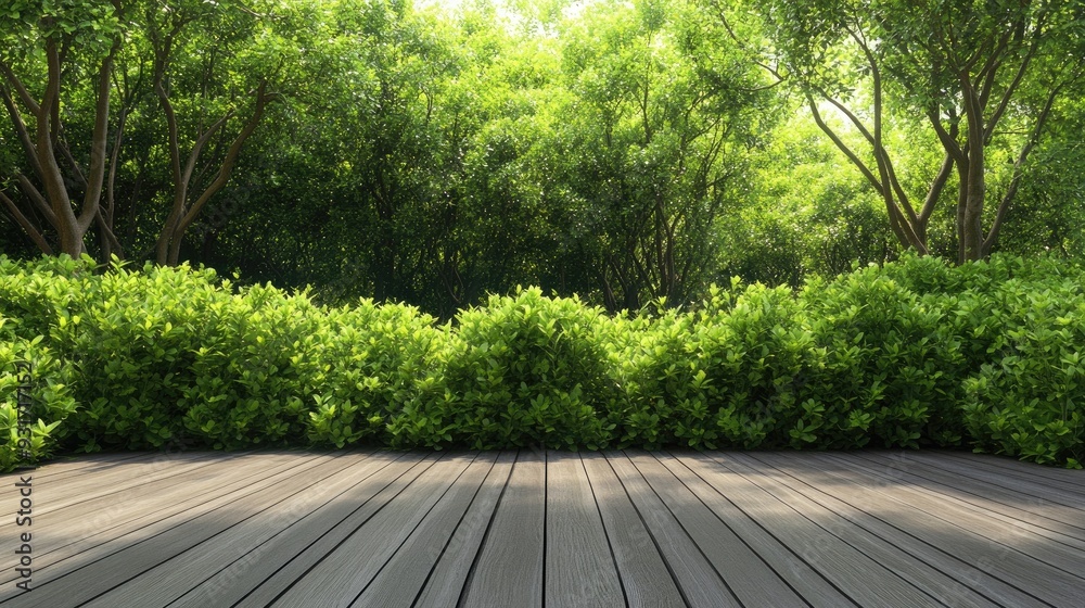 Isolated scene of a wooden floor with vibrant green bushes, perfect for a natural, serene backdrop. Isolated scene of a wooden floor with vibrant green bushes, perfect for a natural, serene backdrop.