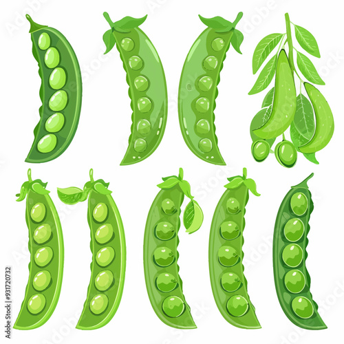 Vector Green Bean simple and minim