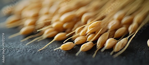 Organic wheat grains on the...