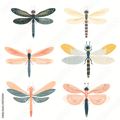 Vector Dragonfly simple and minima