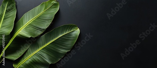 Banana leaf for serving foo...