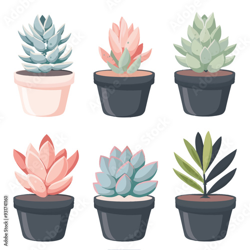 Vector Pachyphytum simple and mini