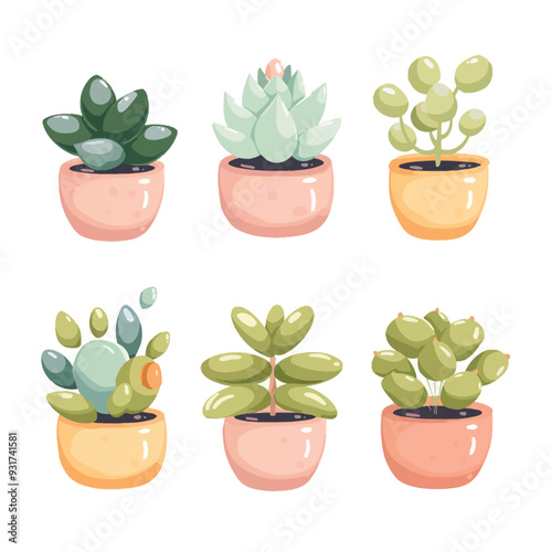 Vector Jade Plant simple and minim