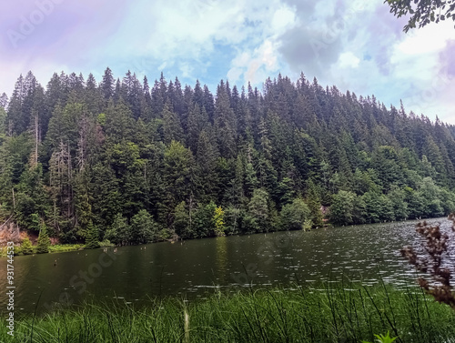 Bikaz Gorge and Lakul Roshu (Red Lake) - Eastern Carpathians - Romania - Europe  photo