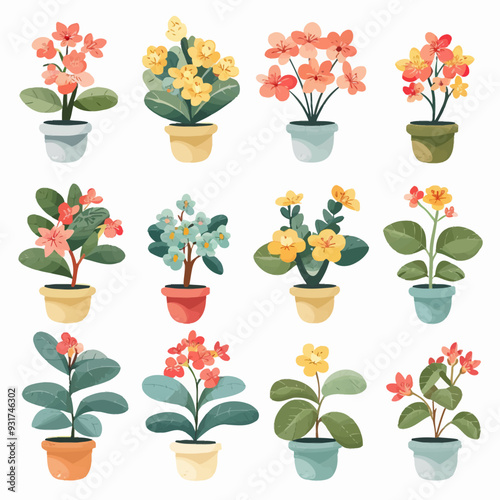 Vector Kalanchoe simple and minima