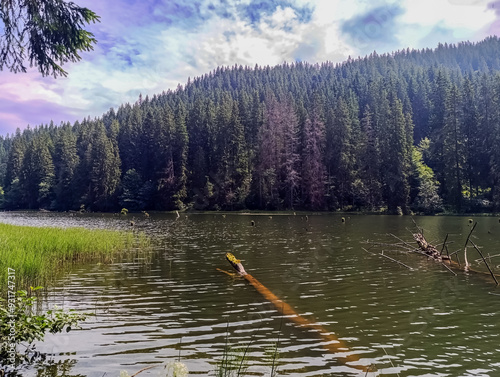 Bikaz Gorge and Lakul Roshu (Red Lake) - Eastern Carpathians - Romania - Europe  photo