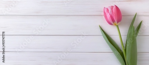 Spring flowers Pink tulip o...