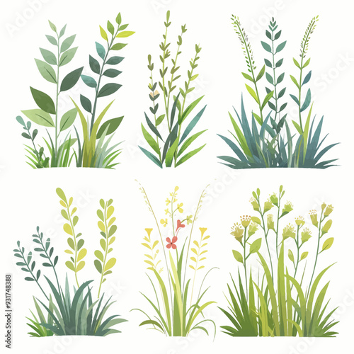 Vector Fresh Grass simple and mini