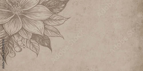 Botanical illustration. Rustic home decor, wall decoration, picture in frame. Grunge, vintage illustration.
