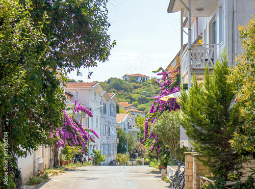 street in the town of island in the summer