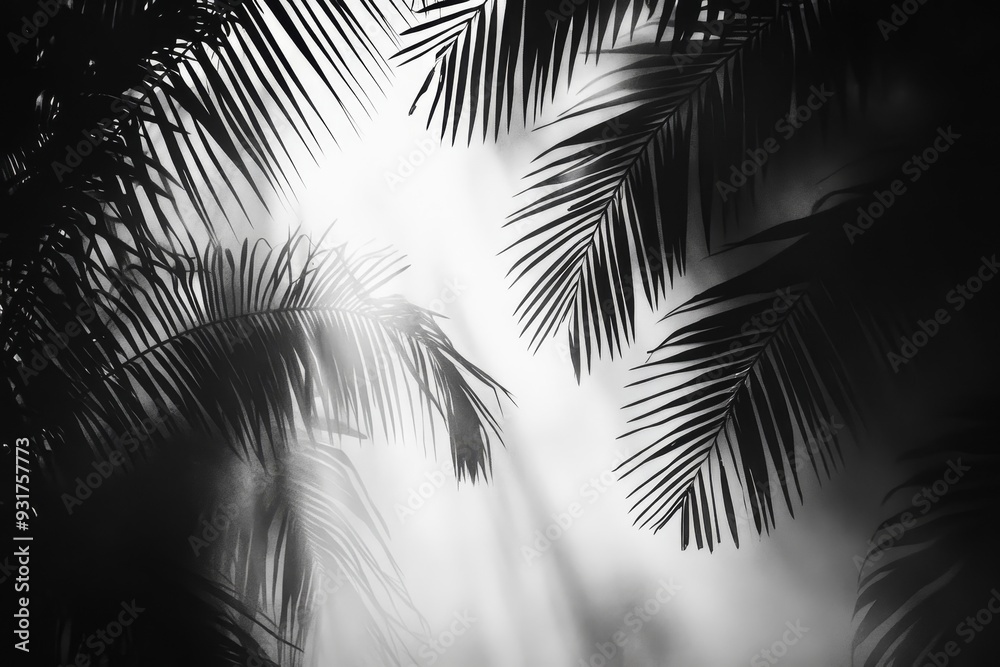Obraz premium Tranquil Tropical Trees and Leaves Silhouettes in Misty Forest - Monochrome Wallpaper Design | Illustrations of Jungle Foliage and Fog