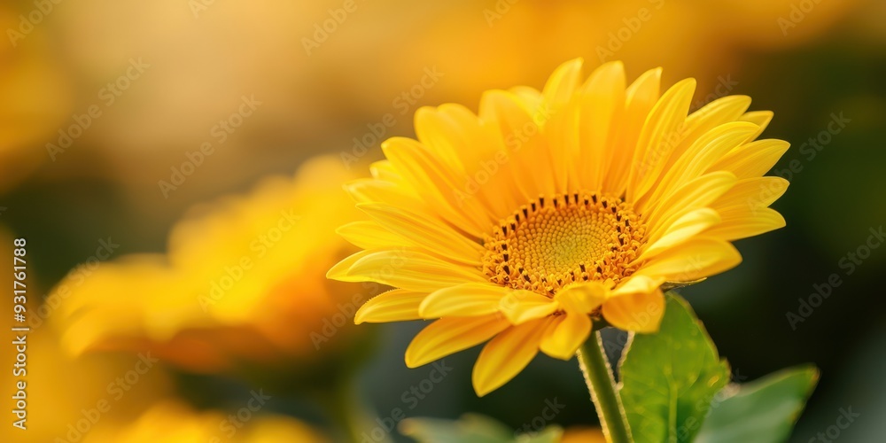 A vibrant yellow flower in full bloom, radiating joy and warmth, surrounded by soft green foliage in a serene outdoor setting. A vibrant yellow flower in full bloom, radiating joy and warmth, surrounded by soft green foliage in a serene outdoor setting.