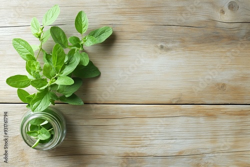 Fresh green herb leaves growing in a small glass jar placed on a rustic wooden surface in natural light.