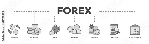 Forex icons process structure web banner illustration of currency, economy, trade, investor, growth, analysis and stockbroker icon png transparent background.