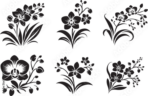 Black silhouette of orchid flowers. Vector illustration.