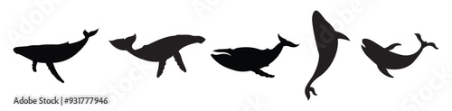 Group of blue whale silhouettes.