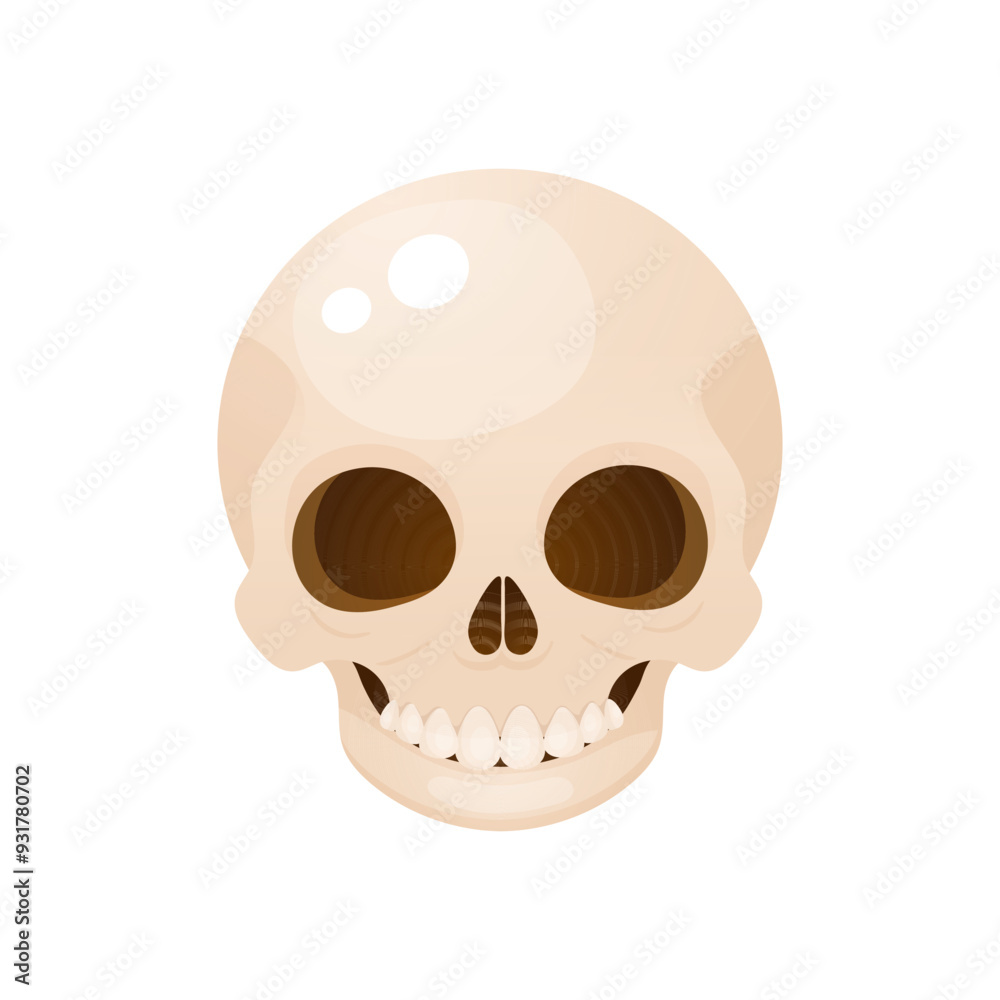 Fototapeta premium Halloween cartoon skull illustration. Vector illustration on white background.