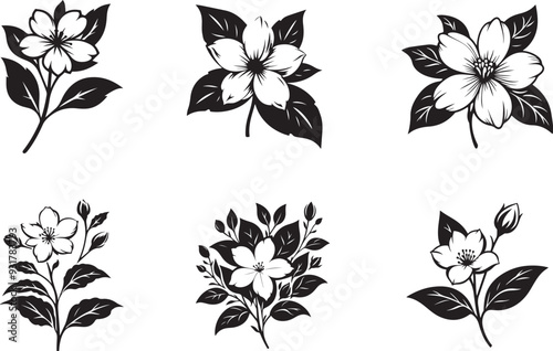Vector jasmine flowers. Set of floral elements. Vintage style.