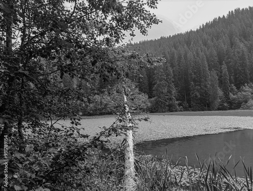 Bikaz Gorge and Lakul Roshu (Red Lake) - Eastern Carpathians - Romania - Europe  photo