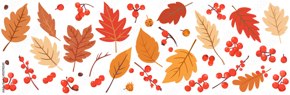 Obraz premium Vector set of bright autumn leaves and rowan berries isolated on white background