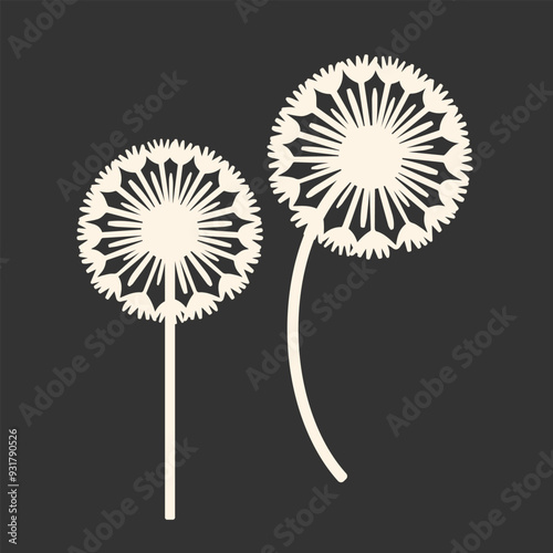 Dandelion flowers. Floral silhouettes. Vector illustration