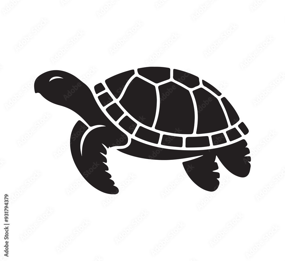 turtle on the beach turtle on the beach