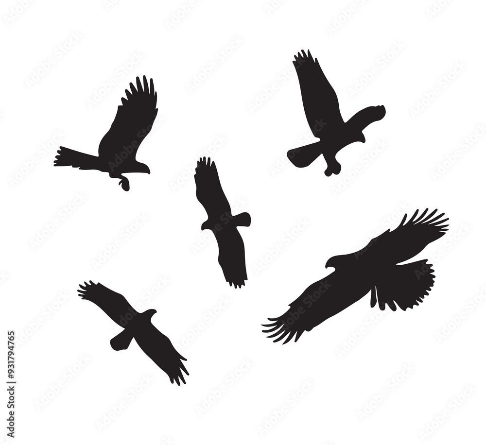 silhouettes of birds silhouettes of birds