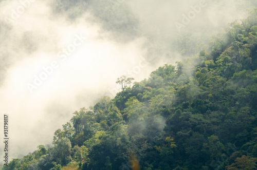 A beautiful landscape of misty sunlight on high mountain peaks covering a beautiful forest. at Phu Chi Dao in rural Chiang Rai Province Northern Thailand