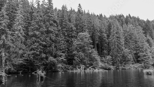 Bikaz Gorge and Lakul Roshu (Red Lake) - Eastern Carpathians - Romania - Europe 