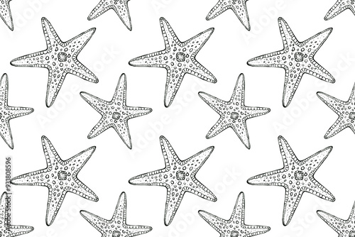 Seamless pattern in nautical style. Starfish on a white background. Hand drawn illustration in line art style. Drawn in black ink in sketch style. Design for packaging, textile, wallpaper
