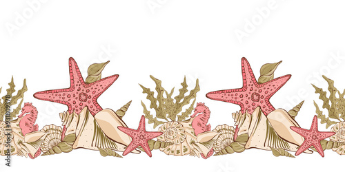 Seamless border with shells, seaweed and sea animals on a white background. Isolated on white background, design for wallpaper, textile, packaging