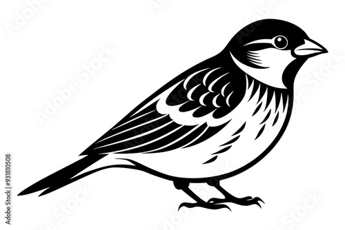 Sparrow silhouette vector illustration