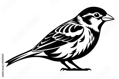 Sparrow silhouette vector illustration