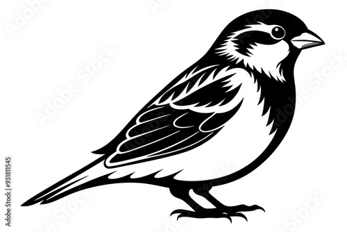 Sparrow silhouette vector illustration