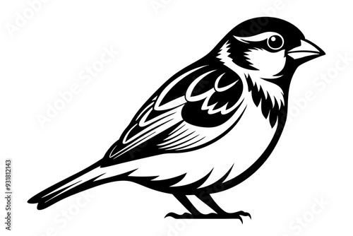 Sparrow silhouette vector illustration