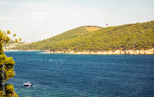 view of the coast of the forested island in istanbul photo