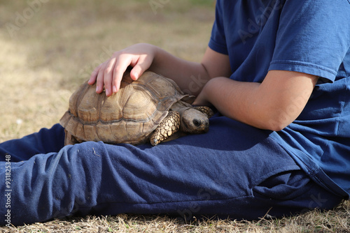 Turtle raised with its owner. Domestic exotic animal.  Child playing in the garden with his tortoise. Turtle of the Chelonoidis chilensis family. photo