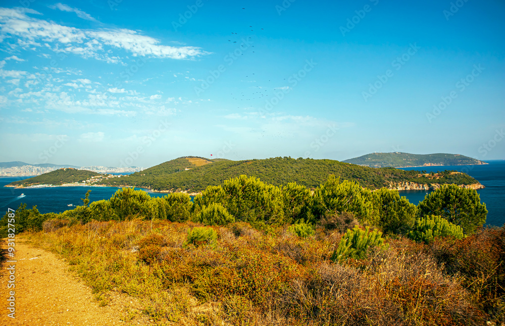 Obraz premium landscape with sea and islands under large blue sky istanbul