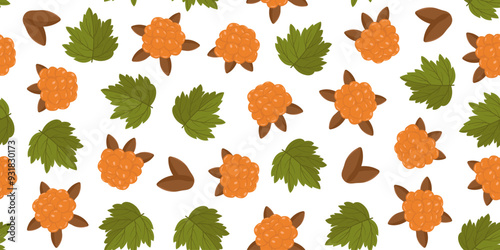 Vector seamless pattern with leaves and cloudberry berries. Autumn repeating pattern with an orange berry. Botanical drawing in a horizontal form. Image for wallpaper, packaging and postcards.