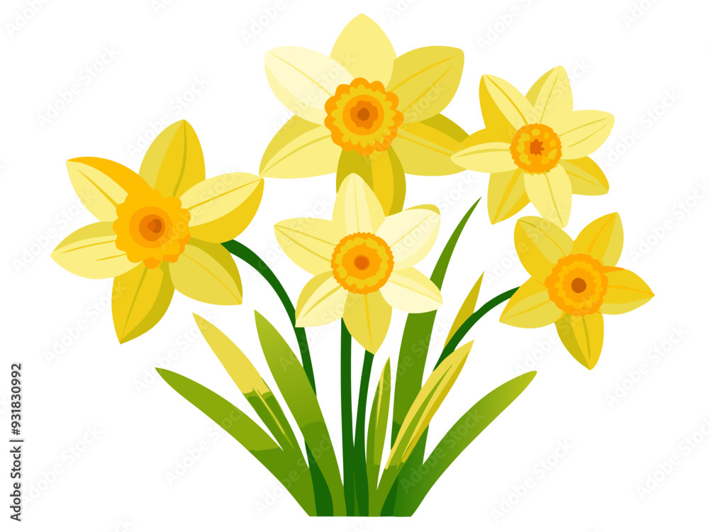 daffodil illustration, daffodil flower vector art, daffodil flower illustration, daffodil vector, yellow daffodils isolated on white daffodil illustration, daffodil flower vector art, daffodil flower illustration, daffodil vector, yellow daffodils isolated on white