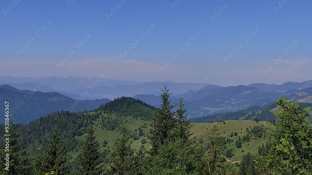 Fototapeta premium mountains in summer, carpathians, beautiful view of mountains and houses in mountains, countryside