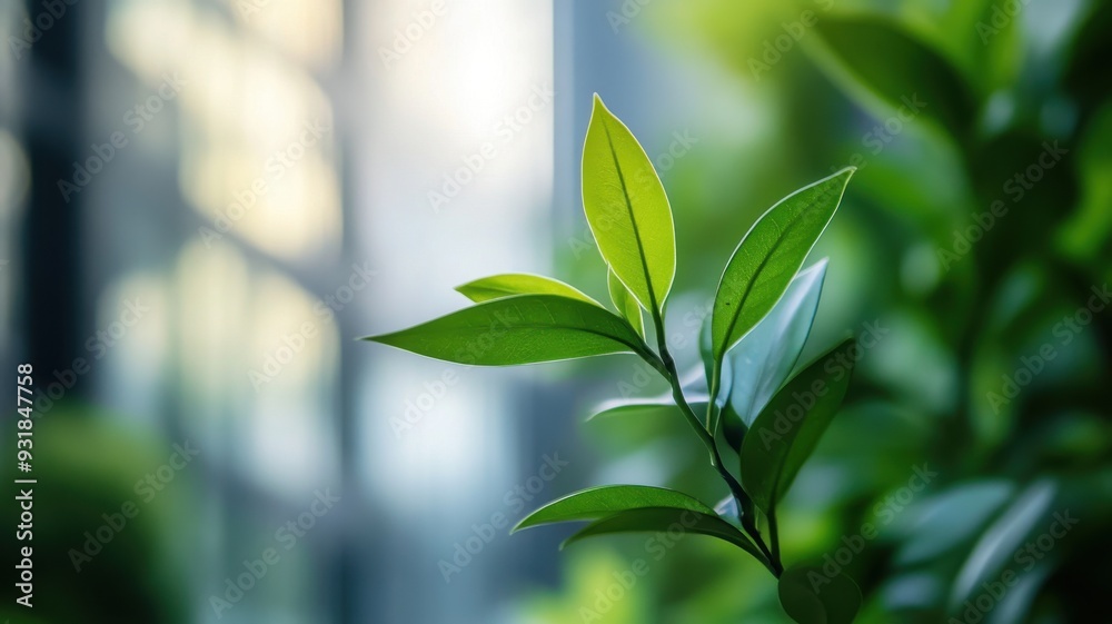 Close-up of vibrant green leaves with a soft background, symbolizing nature and tranquility in an urban environment. Close-up of vibrant green leaves with a soft background, symbolizing nature and tranquility in an urban environment.